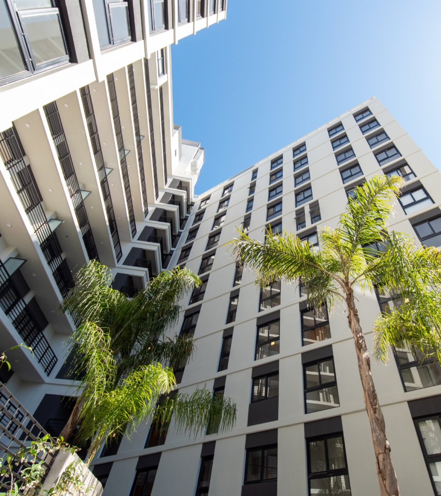 Teknum Palmera Crespo 2